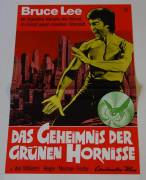 The Green Hornet (Das Geheimnis der grünen Hornisse)